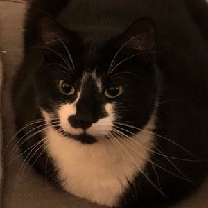 Meet your Posher, Megan